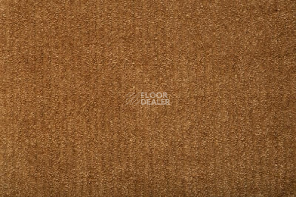 Ковролин Balta ITC Eliot 56 фото 1 | FLOORDEALER